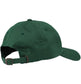 Pasteelo - 'OG Logo' Dad Hat