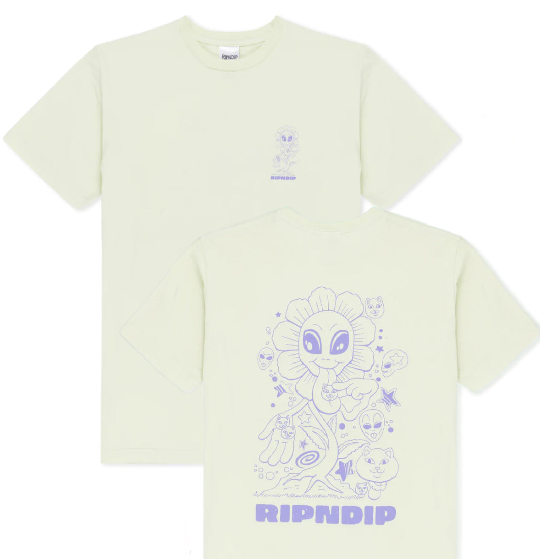 RIPNDIP - T-shirt 'Dance Forever Tee' (Light Lime) - Plazashop